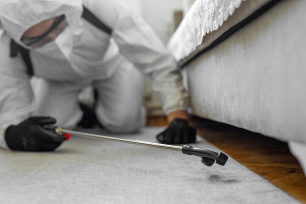 Professional Bed Bug Control technician working in Quartzsite, AZ